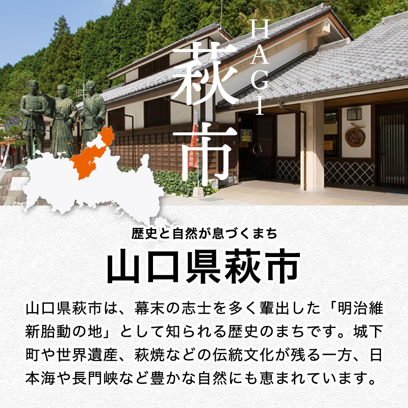 山口県萩市のふるさと納税 野菜ソムリエプロselect／萩・季節の食材定期便　隔月発送・3回コース｜HG0T0032-B