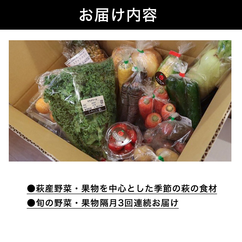 山口県萩市のふるさと納税 野菜ソムリエプロselect／萩・季節の食材定期便　隔月発送・3回コース｜HG0T0032-B