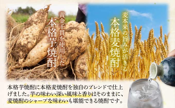 宮崎県串間市のふるさと納税 【先行予約・数量限定】本格焼酎流星パック1.8L×2本 【KU560-2】