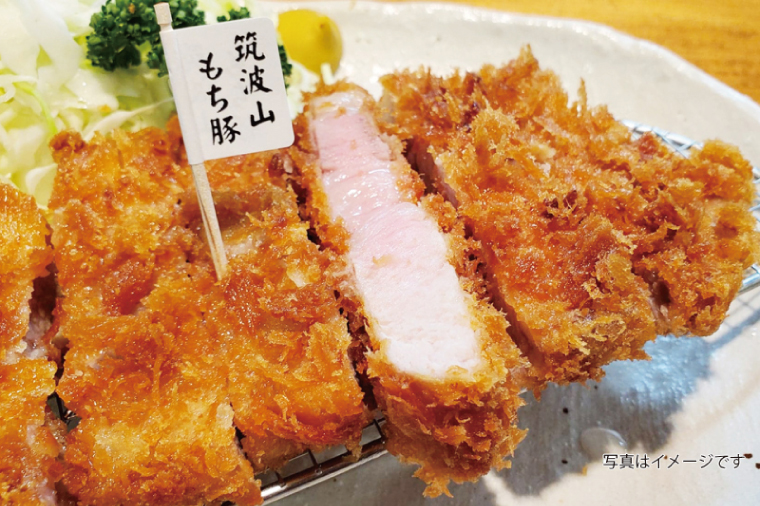 【楽ちん 冷凍とんかつ・牛かつ】茨城の旨い肉フルセット！いばらきの恵み詰合せスペシャル（常陸牛かつ×1、雨情の里牛かつ×1、ローズポークロースかつ×1、筑波山もち豚ロースかつ×1、筑波山もち豚ミルフィーユかつ×2、茨城メンチかつ×2）