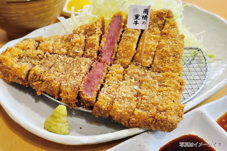 【楽ちん 冷凍とんかつ・牛かつ】茨城の旨い肉フルセット！いばらきの恵み詰合せスペシャル（常陸牛かつ×1、雨情の里牛かつ×1、ローズポークロースかつ×1、筑波山もち豚ロースかつ×1、筑波山もち豚ミルフィーユかつ×2、茨城メンチかつ×2）