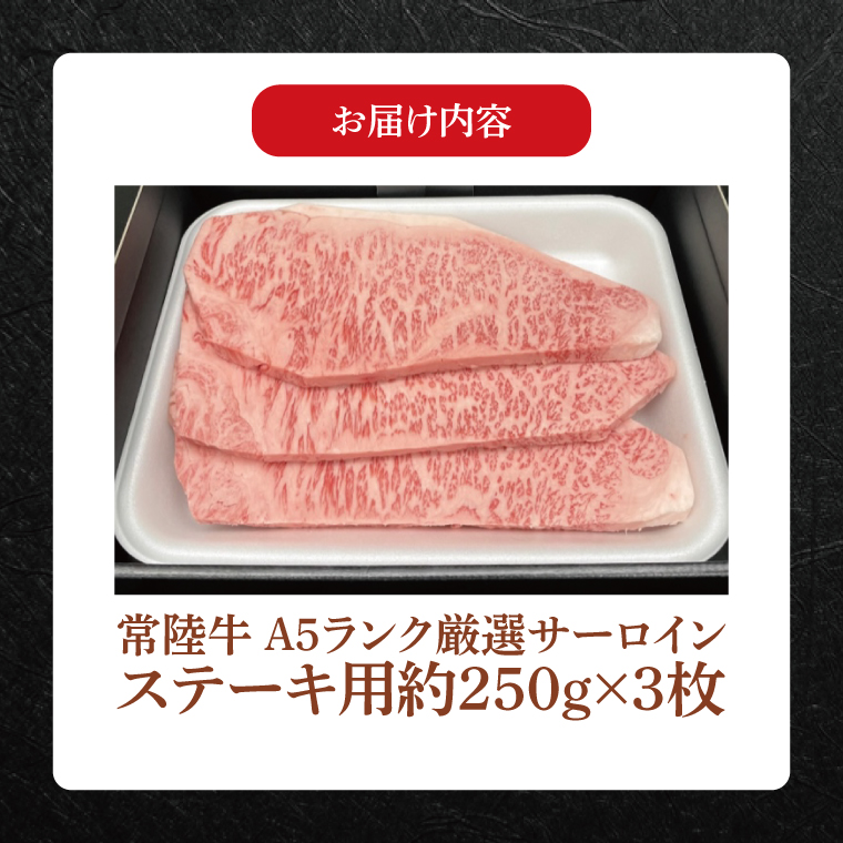 【常陸牛】肉の藤井商店 ～高級ステーキディナーセット～(茨城県共通返礼品)｜高級ステーキセット 特選ステーキ 高級牛肉 贅沢セット ギフトセット 食べ比べセット お中元 お歳暮 国産 牛肉 肉 お肉 最高級A5ランク ブランド牛 贈答 化粧箱 黒毛和牛 和牛 国産黒毛和牛 国産牛 ディナーセット 贅沢ディナー ステーキ おすすめ(FL-27)