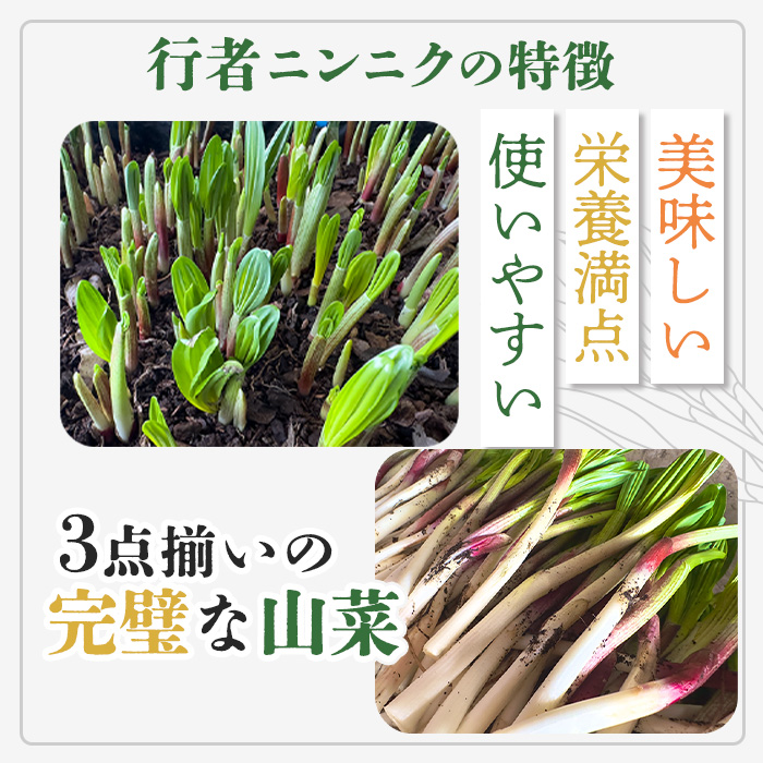 行者にんにくグリーン行者・ホワイト行者 計5袋（葉部・茎部