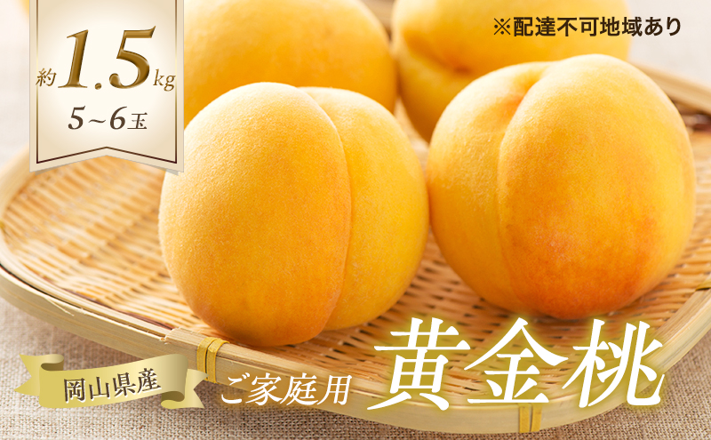 �y���R�����˓��s�z�� 2026�N ��s�\�� ���ƒ�p ������ 5�`6�� ���v��1.5kg ���� ���� ���R���Y ���Y �t���[�c �ʕ� �M�t�g