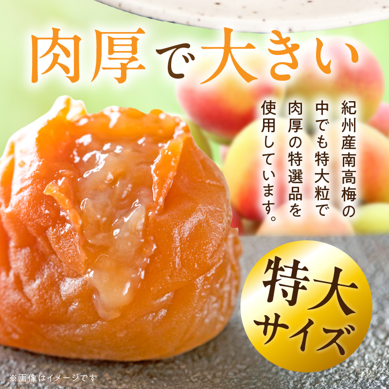 SF1028_紀州南高梅「稔」20粒入