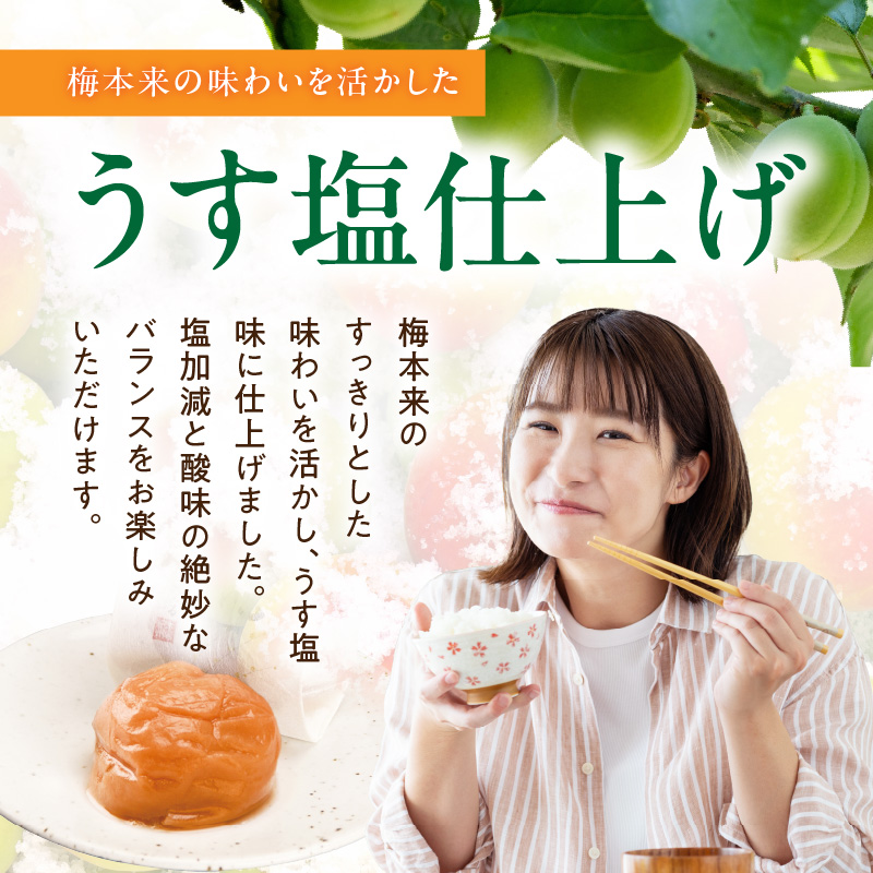 SF1028_紀州南高梅「稔」20粒入