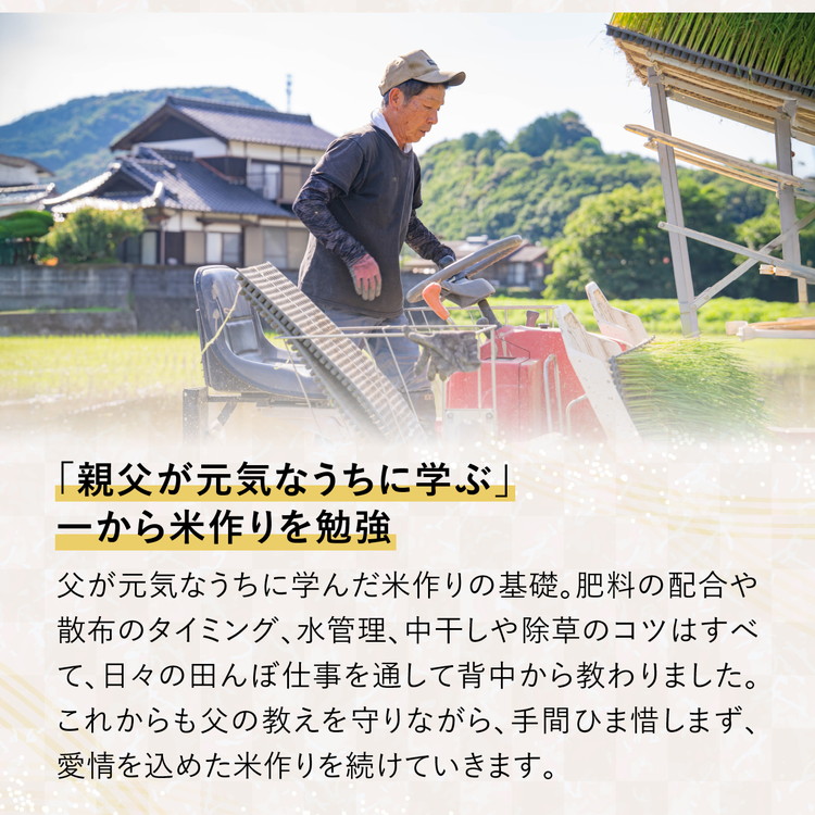 愛媛県鬼北町のふるさと納税 谷口さん家のコシヒカリ 5kg | ご飯 白米 お米 5kg 令和7年産 精米済み 愛媛県鬼北町 ※離島への配送不可 ※2025年9月下旬頃より順次発送予定