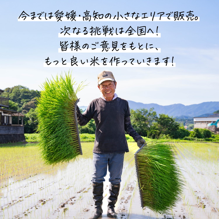 愛媛県鬼北町のふるさと納税 谷口さん家のコシヒカリ 5kg | ご飯 白米 お米 5kg 令和7年産 精米済み 愛媛県鬼北町 ※離島への配送不可 ※2025年9月下旬頃より順次発送予定