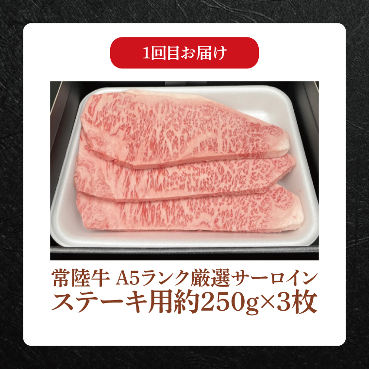 【常陸牛】肉の藤井商店（定期便）常陸牛グルメコース ～至福の3ヶ月～（茨城県共通返礼品）｜定期便 3か月 贅沢牛肉定期便 高級牛肉 贅沢牛肉 毎月お届け 最高級牛肉 ギフト定期便 豪華牛肉 A5 厳選 サーロイン モモステーキ ハンバーグ 高級ステーキ 特選ステーキ お中元 お歳暮 国産 牛肉 肉 お肉 最高級 ブランド牛 贈答 化粧箱 黒毛和牛 和牛 国産黒毛和牛 国産牛(FL-30)