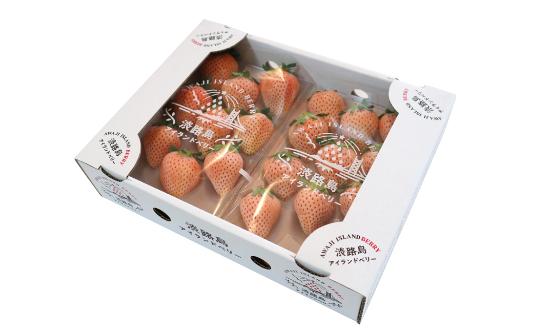 淡路島アイランドベリー 白苺淡雪【2026年4月発送予約受付・お届け日指定不可】　[いちご]