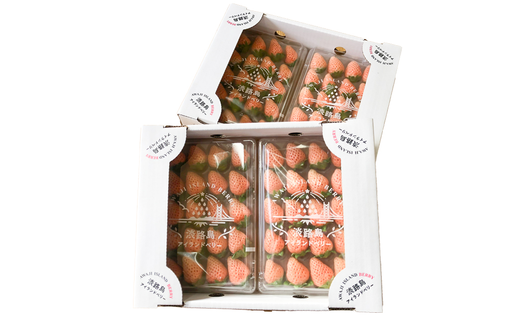 淡路島アイランドベリー　白苺淡雪　Mサイズ【2026年4月発送予約受付・お届け日指定不可】　白いちご