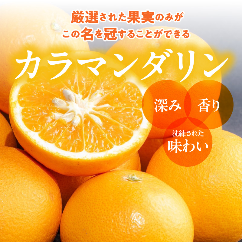 ZE6500_【2026年先行予約】和歌山県産 カラマンダリン 3kg 秀品