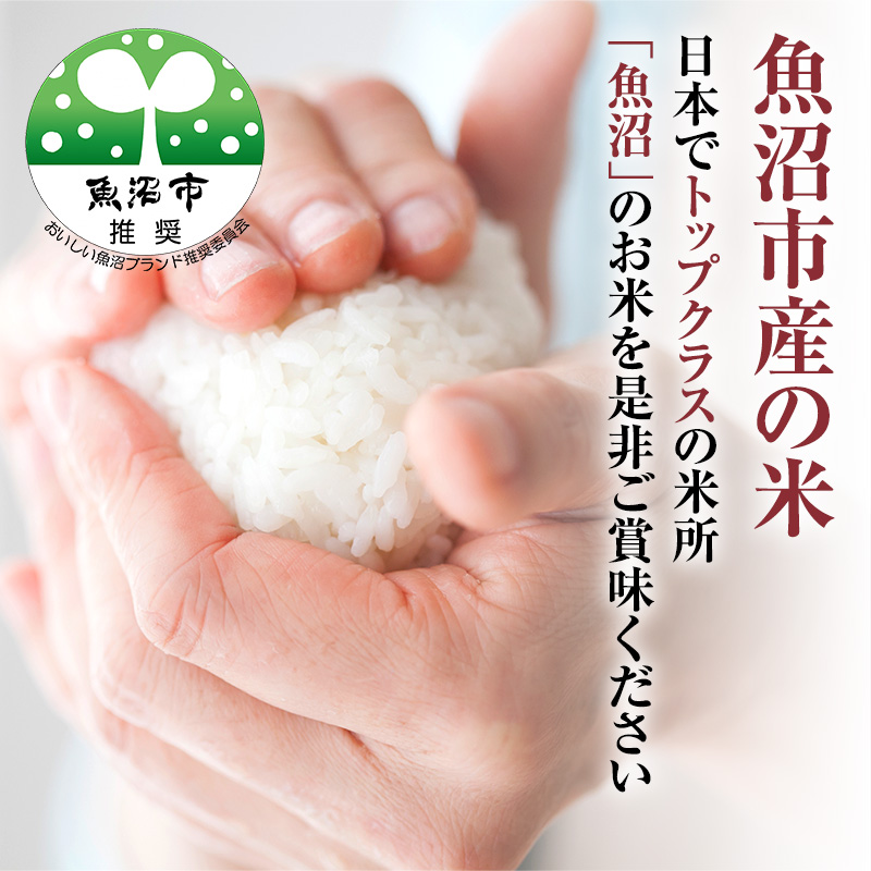 新潟県魚沼市のふるさと納税 【令和7年産 新米先行受付】無洗米 米農家自慢の 魚沼産 コシヒカリ2kg×１袋 米 お米 こめ こしひかり 白米 無洗 新潟県 魚沼市 魚沼