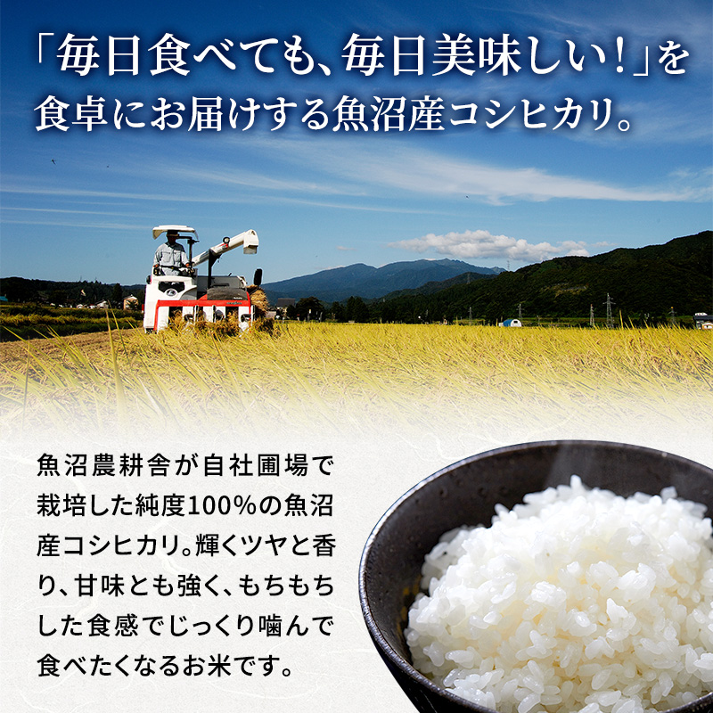 新潟県魚沼市のふるさと納税 【令和7年産 新米先行受付】無洗米 米農家自慢の 魚沼産 コシヒカリ2kg×１袋 米 お米 こめ こしひかり 白米 無洗 新潟県 魚沼市 魚沼