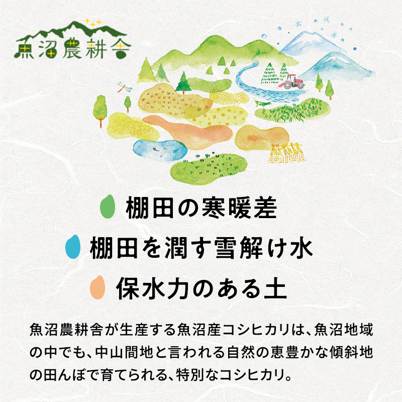 新潟県魚沼市のふるさと納税 【令和7年産 新米先行受付】無洗米 米農家自慢の 魚沼産 コシヒカリ2kg×１袋 米 お米 こめ こしひかり 白米 無洗 新潟県 魚沼市 魚沼