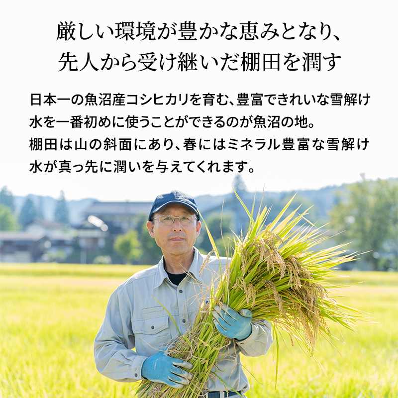 新潟県魚沼市のふるさと納税 【令和7年産 新米先行受付】無洗米 米農家自慢の 魚沼産 コシヒカリ2kg×１袋 米 お米 こめ こしひかり 白米 無洗 新潟県 魚沼市 魚沼