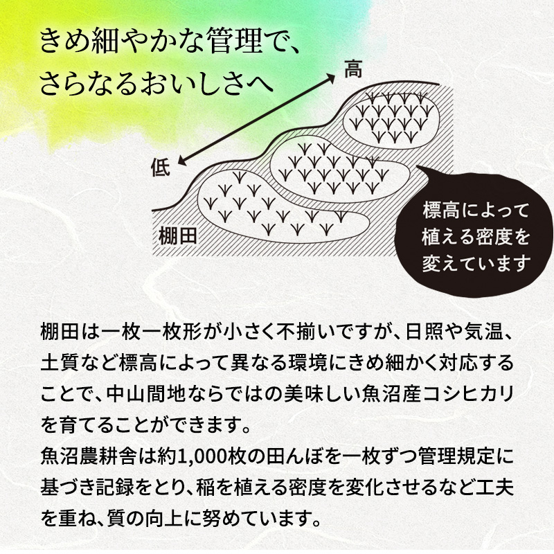 新潟県魚沼市のふるさと納税 【令和7年産 新米先行受付】無洗米 米農家自慢の 魚沼産 コシヒカリ2kg×１袋 米 お米 こめ こしひかり 白米 無洗 新潟県 魚沼市 魚沼