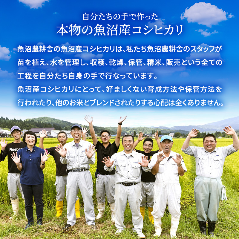 新潟県魚沼市のふるさと納税 【令和7年産 新米先行受付】無洗米 米農家自慢の 魚沼産 コシヒカリ2kg×１袋 米 お米 こめ こしひかり 白米 無洗 新潟県 魚沼市 魚沼