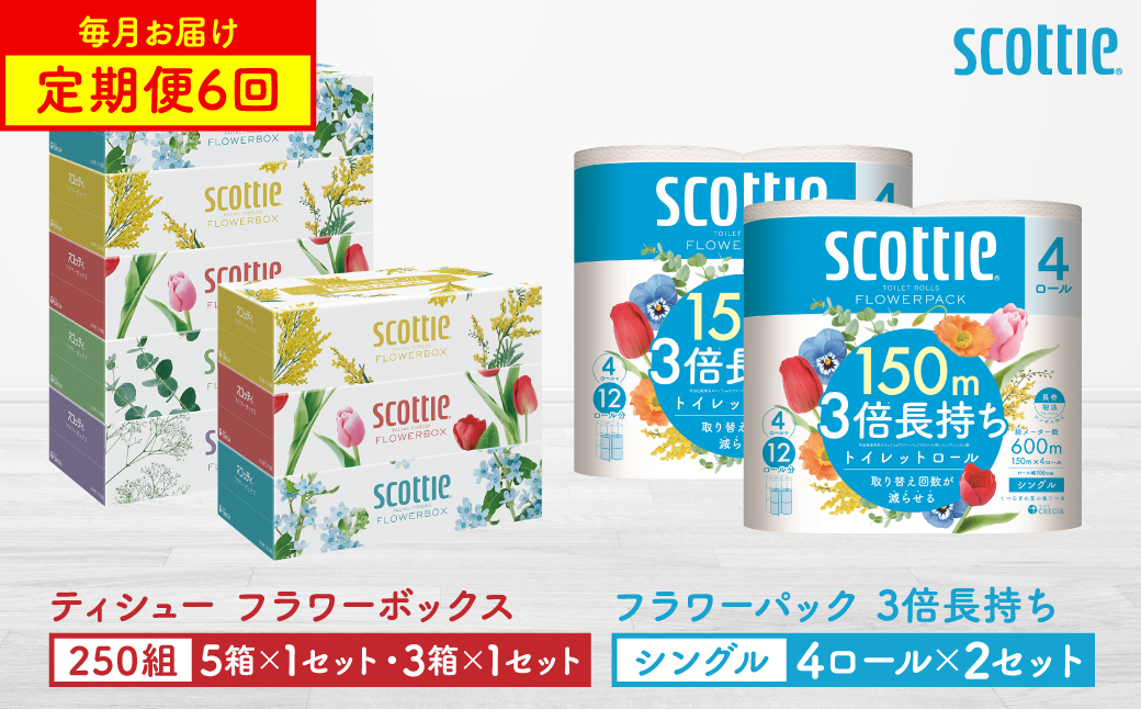 [定期便6回][毎月お届け][スコッティ] ティシュー フラワーボックス 250組(5箱パック×1セット・3箱パック×1セット)+フラワーパック 3倍長持ち(4ロール(シングル)パック×2セット)ティッシュ トイレットペーパー 日用品 ストック