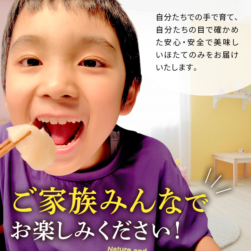 【最短当日発送】北海道オホーツク 湧別沖 ほたて 玉冷小分け パック  600g（300g×2P）【 ホタテ 帆立 ほたて スタンドパック 海鮮 刺身 貝 貝柱 魚介 魚介類 冷凍 北海道 湧別町 】