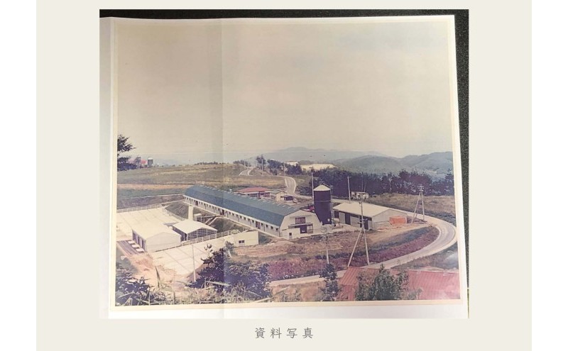 油絵で高級感のある風景画を描きます（33×24cm）