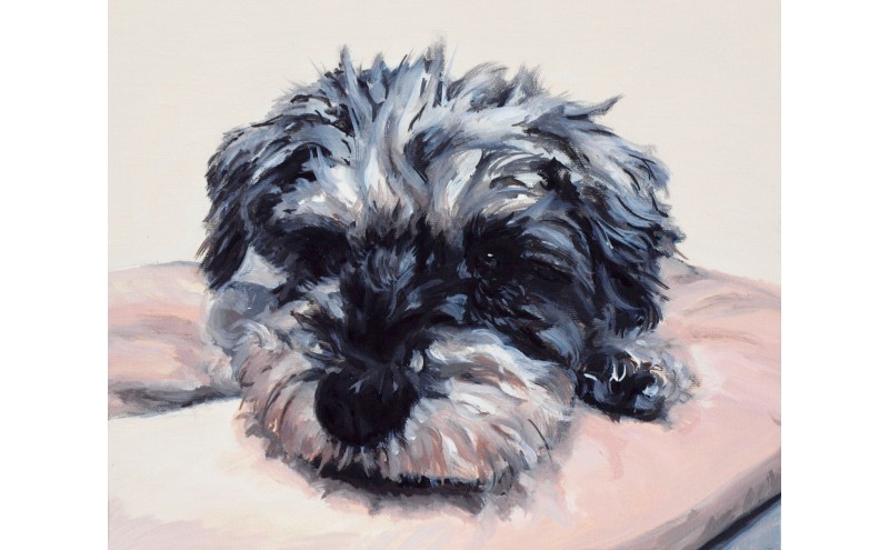 油絵で大切なペットを描きます（33×24cm・背景無地）