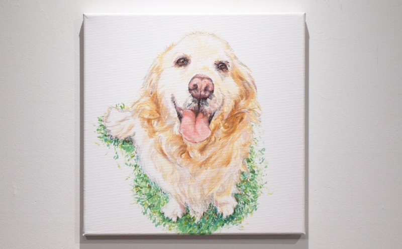 油絵で大切なペットを描きます（53×46cm・背景無地）