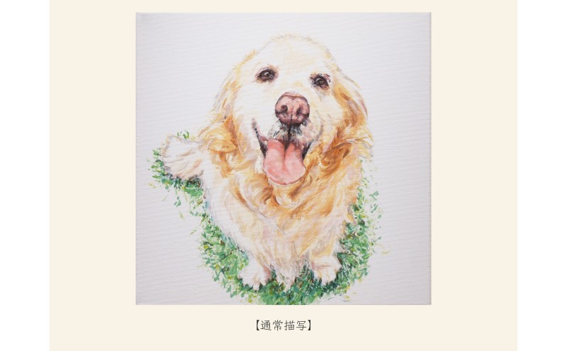 油絵で大切なペットを描きます（53×46cm・背景無地）