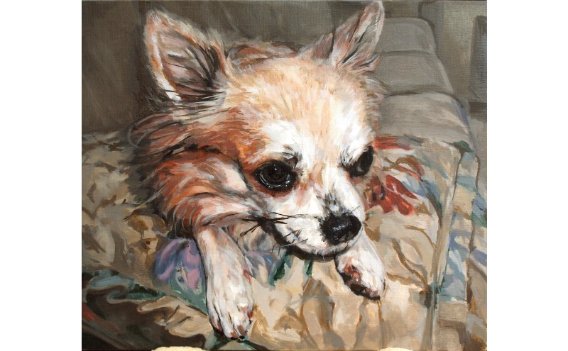 油絵で大切なペットを描きます（53×46cm・背景あり）