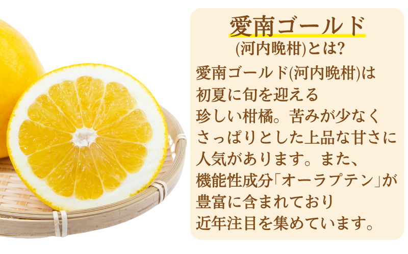 愛南ゴールド 入り 甘酒 ( 150g × 16 本 ) 20000円 あまざけ あま酒 河内晩柑 米 パウチ 150g 持ち運び 片手 手軽 夏バテ 冷え 冷え性 栄養 栄養補給 発酵食品 健康 アミノ酸 ビタミン 美容 美容効果  おいしい 爽やか スッキリ すっきり プレゼント 贈答 贈答用 ダイエット 美肌 美髪 便秘 愛南 無添加 愛南町 愛なんよ