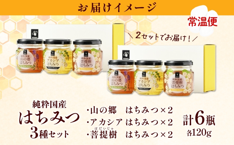 国産はちみつ120g 3本入り 2セット 山の郷 アカシア 菩提樹 国産 純粋はちみつ ギフト ハニー honey ハチミツ パン 菓子 トースト ホットケーキ ヨーグルト 調味料 隠し味 常温 常備 お取り寄せ 日新蜂蜜 送料無料 岐阜県 安八町 