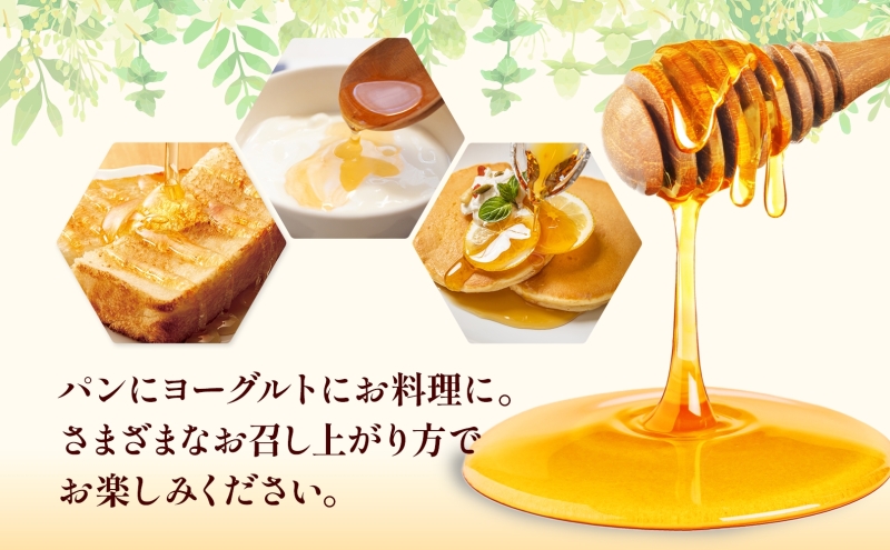国産はちみつ120g 3本入り 山の郷 アカシア 菩提樹 国産 純粋はちみつ ギフト ハニー honey ハチミツ パン 菓子 トースト ホットケーキ ヨーグルト 調味料 隠し味 常温 常備 お取り寄せ 日新蜂蜜 送料無料 岐阜県 安八町 