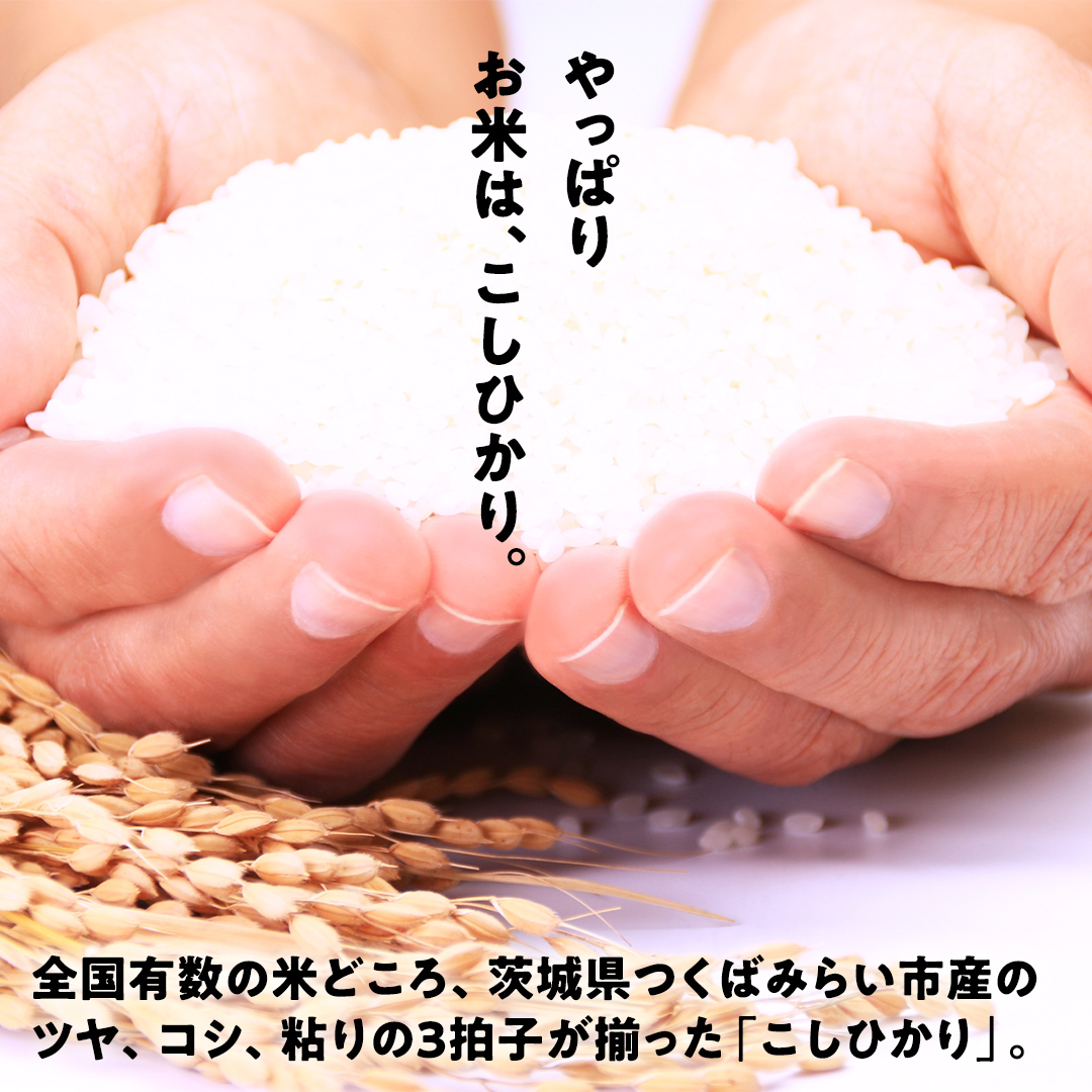 茨城県つくばみらい市のふるさと納税 ＼ 新米先行予約 ／ コシヒカリ 5kg 令和7年産精米 【 数量限定 】茨城県つくばみらい市産 米 コメ 単一米 13000 茨城県産 国産 発送 コスパ こしひかり [CL143-NT]