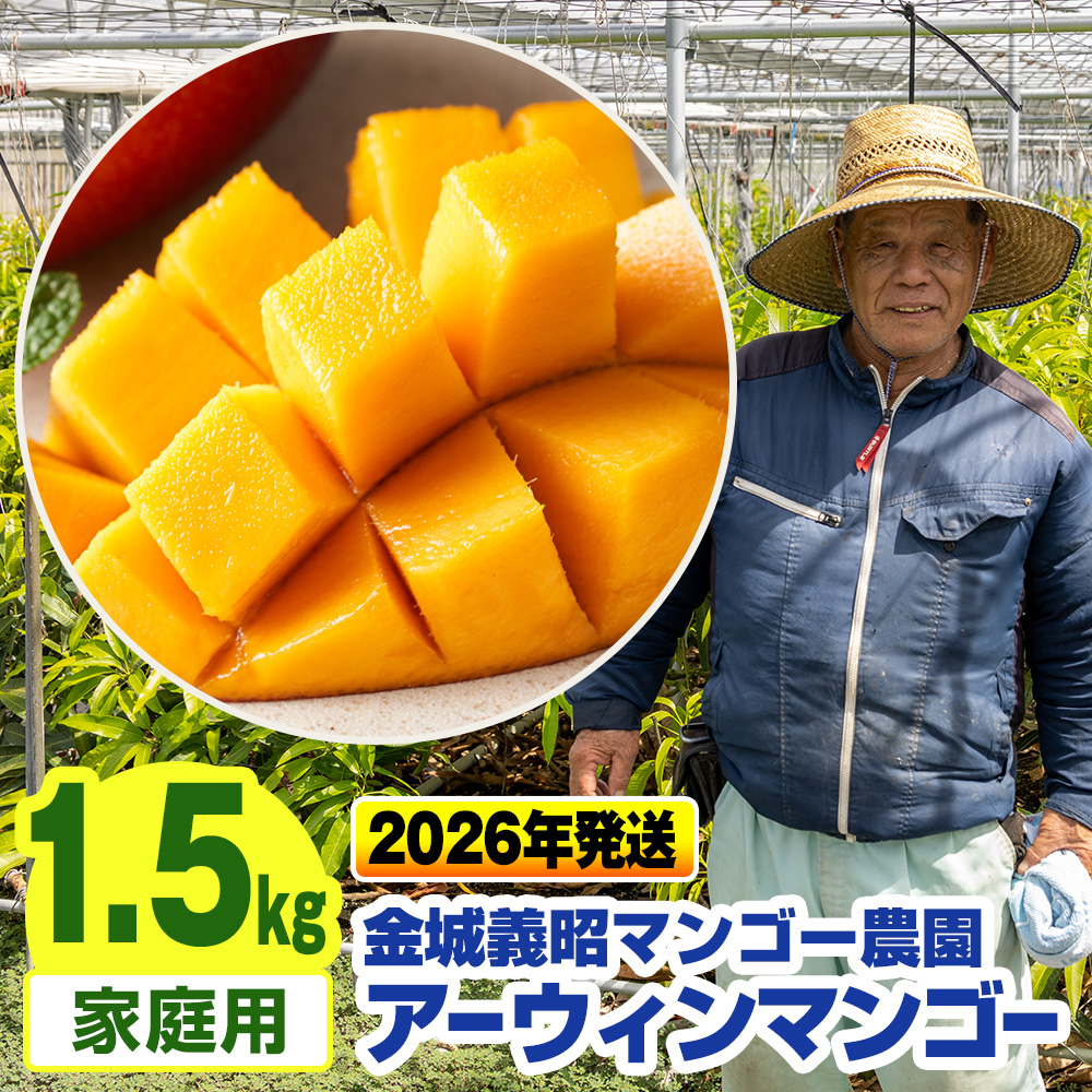沖縄県南風原町のふるさと納税 【2026年発送】金城義昭マンゴー農園　アーウィンマンゴー家庭用1.5kg