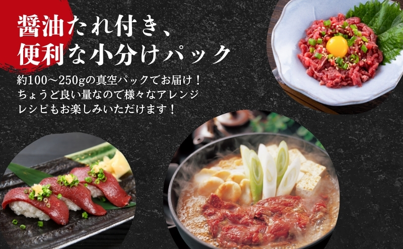 長野県駒ヶ根市のふるさと納税 馬刺し 赤身 450g 駒ヶ根市 馬肉 ギフト グルメ