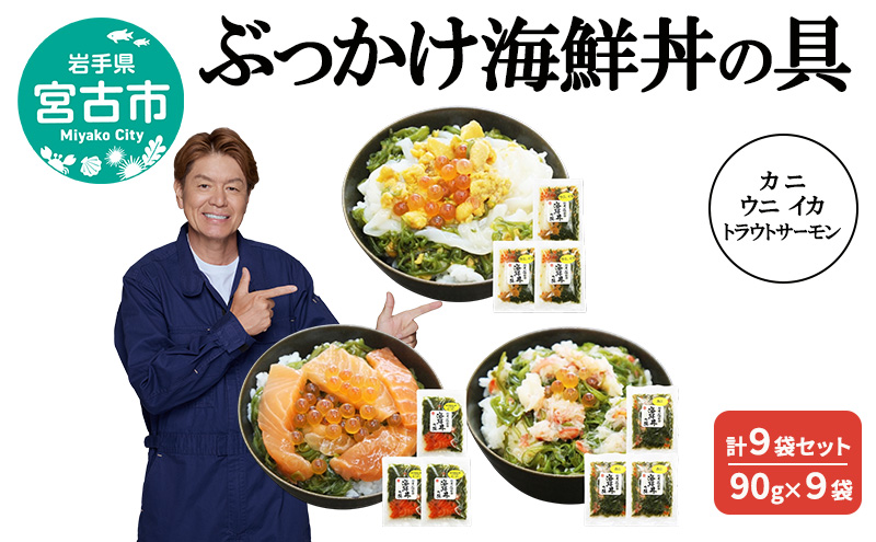 y茧{ÎszԂCN̋ Jj Ej CJ gEgT[ v9܃Zbg 90g×9 G Ⓚ CN Ju O qTCY CN  ̑f ̋ CN CY    {