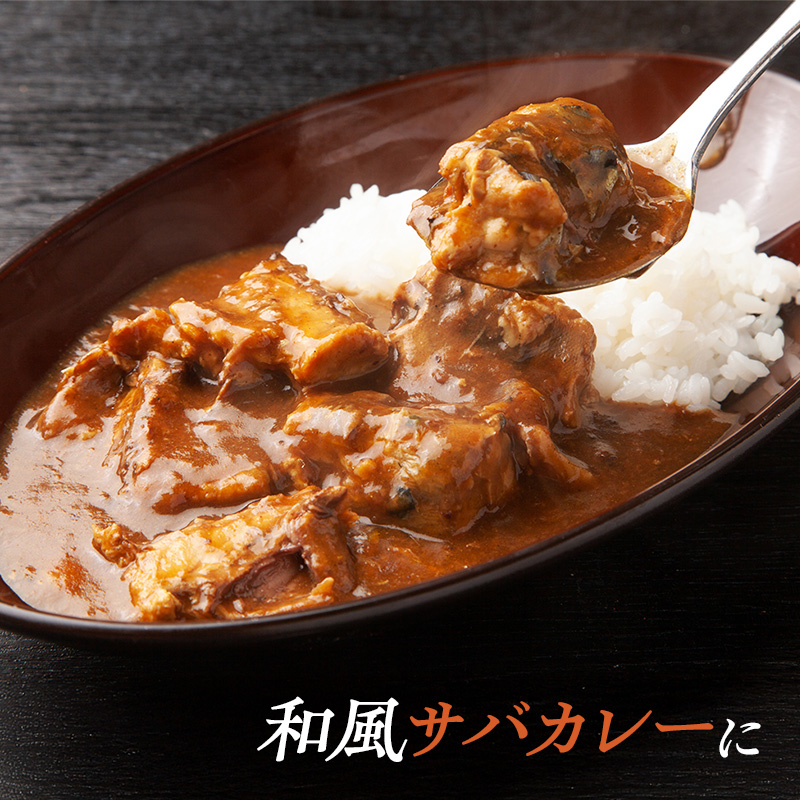 国産 天然 塩鯖 フィレ 骨取り 三陸の恵み 冷凍 500g 岩手県 宮古市