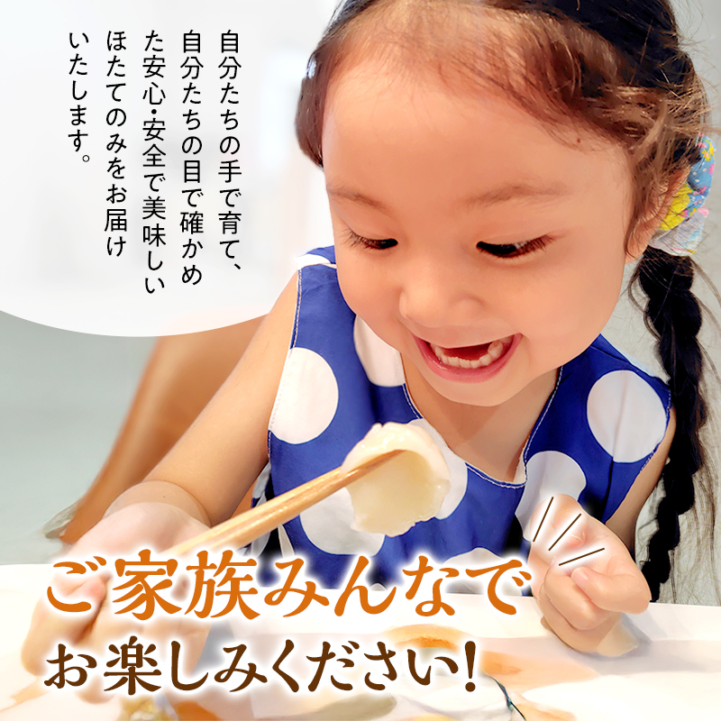 訳あり 北海道 オホーツク産 冷凍 ほたて 貝柱フレーク 3kg（1kg×3箱）ホタテ ランキング 海鮮 刺身 冷凍ふるさと納税 帆立 ふるさと 規格外　人気 ホタテ貝柱　