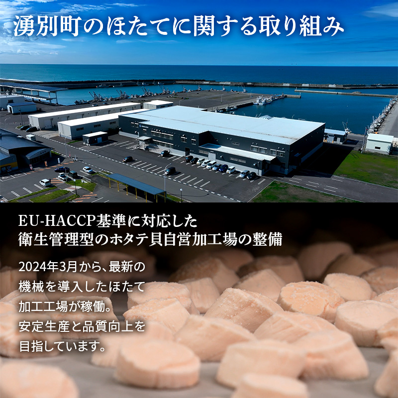 〈北海道 オホーツク産〉 冷凍 ほたて貝柱 2Sサイズ2kg（1kg×2箱）【 ホタテ 帆立 ほたて 海鮮 刺身 貝 貝柱 魚介 魚介類 冷凍 北海道 湧別町 】