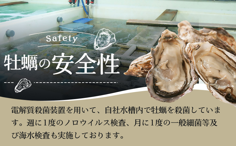 北海道 牡蠣 3種 食べ比べ セット 厚岸オイスター★オールスターズ 生食 生牡蠣 貝付き牡蠣 貝 海鮮 魚介類 殻付き牡蠣 カキ 