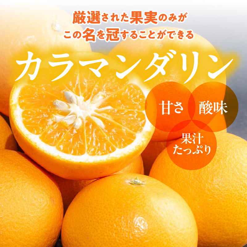 ZE6502_【2026年先行予約】和歌山県産　カラマンダリン　3kg　家庭用