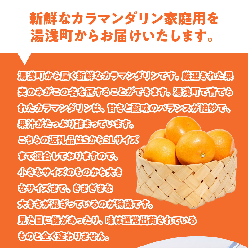 ZE6502_【2026年先行予約】和歌山県産　カラマンダリン　3kg　家庭用