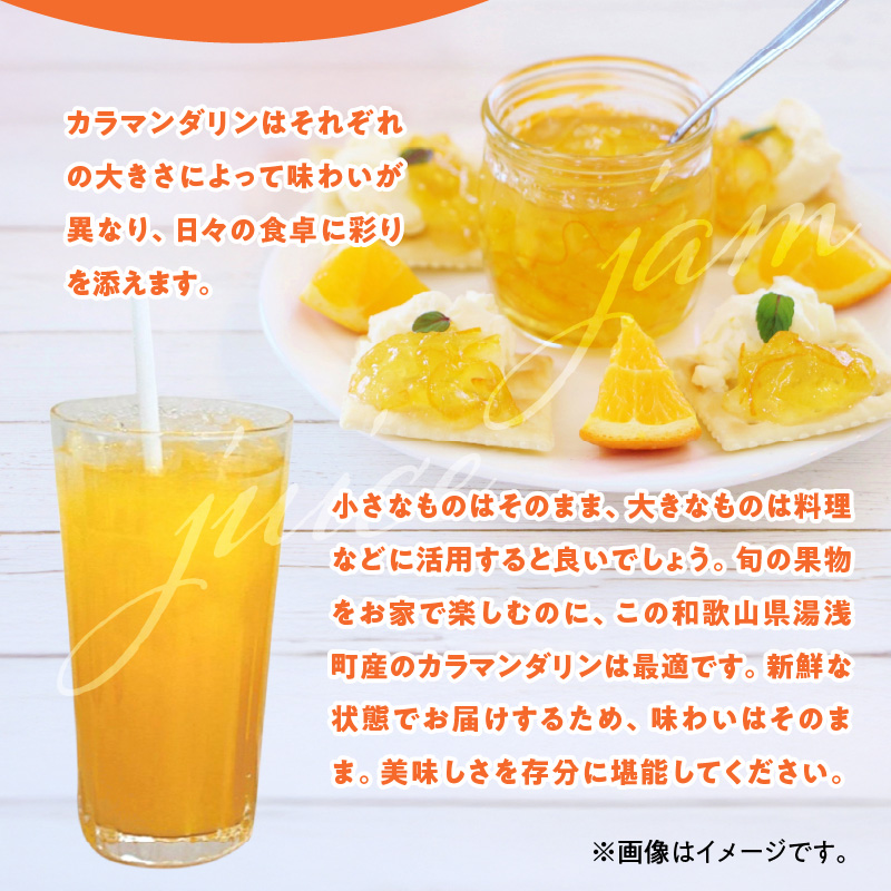 ZE6502_【2026年先行予約】和歌山県産　カラマンダリン　3kg　家庭用