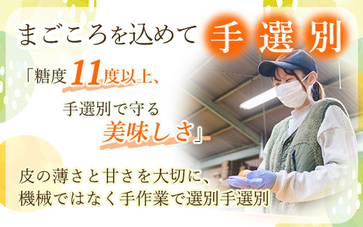 和歌山の有田みかん 化粧箱入り 4.5kg Mサイズ｜まごころ手選別 ミカン 蜜柑 温州みかん 柑橘 和歌山 ギフト 贈答 ※2025年11月上旬～2026年1月下旬頃に順次発送予定