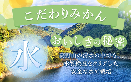 【まごころ手選別】和歌山の有田みかん 5kg (2S・Sサイズ混合) ※2025年11月上旬～2026年1月下旬頃に順次発送予定