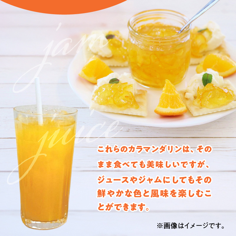 ZE6503_【2026年先行予約】和歌山県産　カラマンダリン　5kg　家庭用