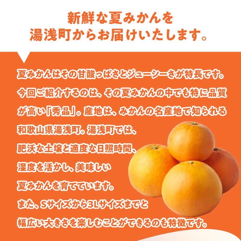ZE6504_【2026年先行予約】和歌山県産　夏みかん　3kg　秀品