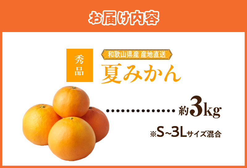 ZE6504_【2026年先行予約】和歌山県産　夏みかん　3kg　秀品