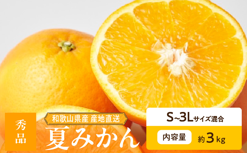ZE6504_Y_【直営限定】【2026年先行予約】和歌山県産 夏みかん