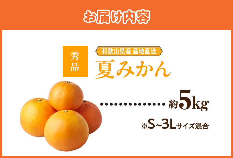 ZE6505_【2026年先行予約】和歌山県産　夏みかん　5kg　秀品